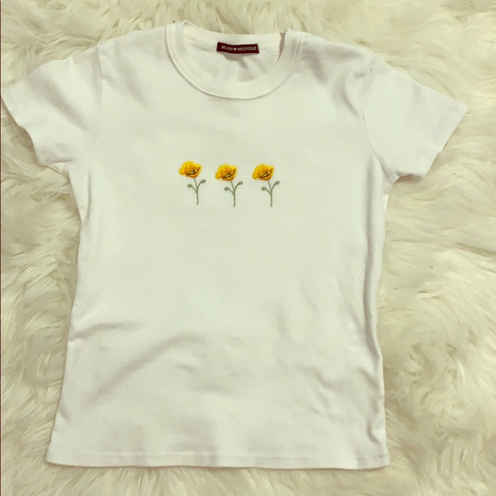 Brandy Melville cropped t-shirt